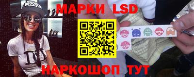 индика Лесосибирск
