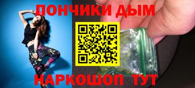 индика Лесосибирск