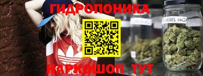 амф Кунгур