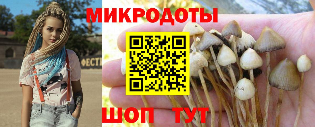 Галлюциногенные грибы мухоморы  Вход с VPN  Клинцы  Галлюциногенные грибы Psilocybine cubensis 