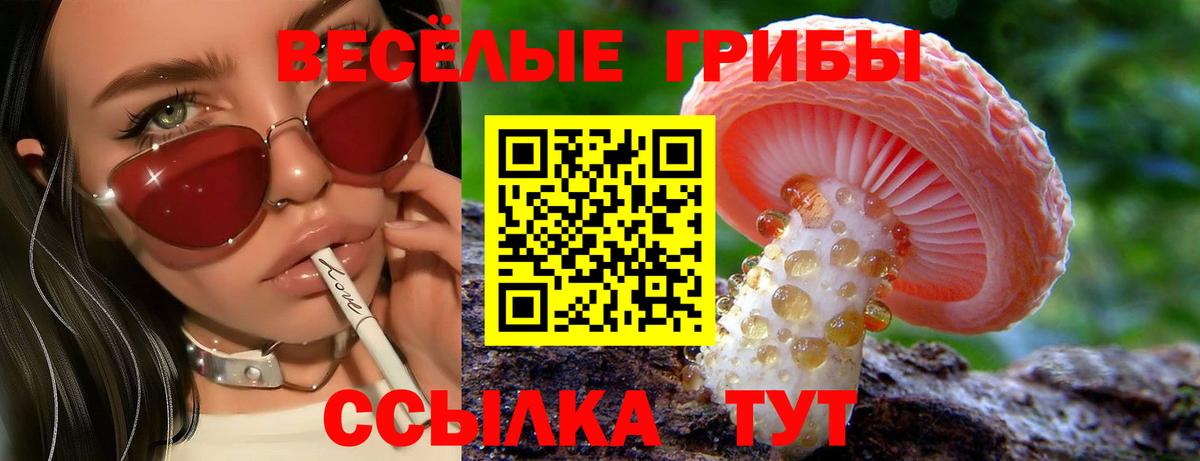Псилоцибиновые грибы прущие грибы Клинцы